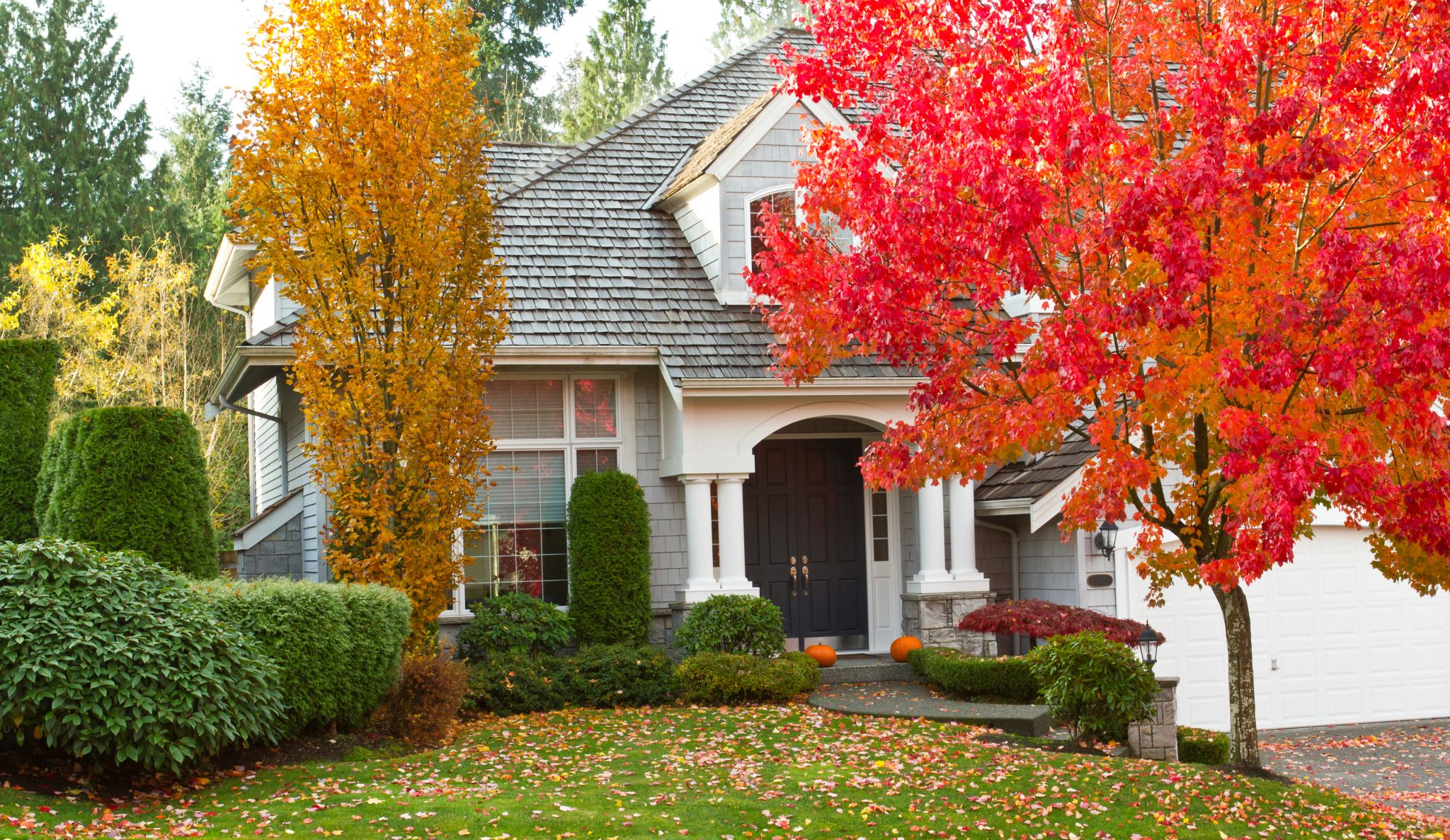 10 Home Remodels To Tackle This Fall! What You Need NOW
