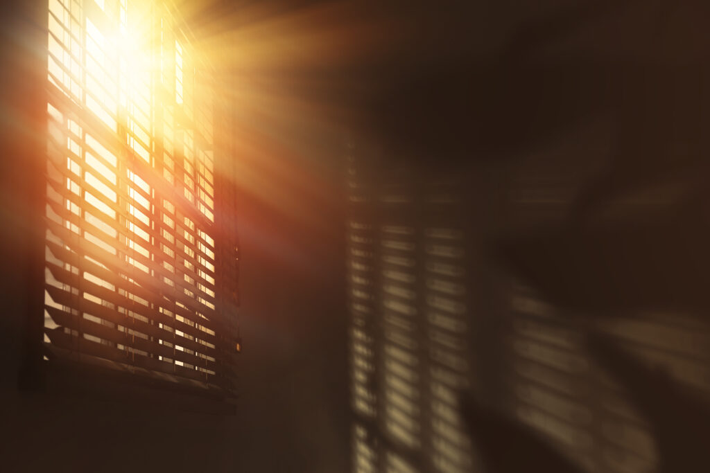 Window Sunlight
