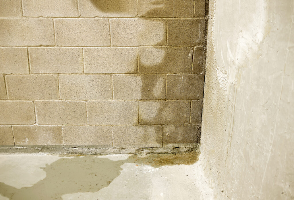 Common Home Issues -Moisture In Basement
