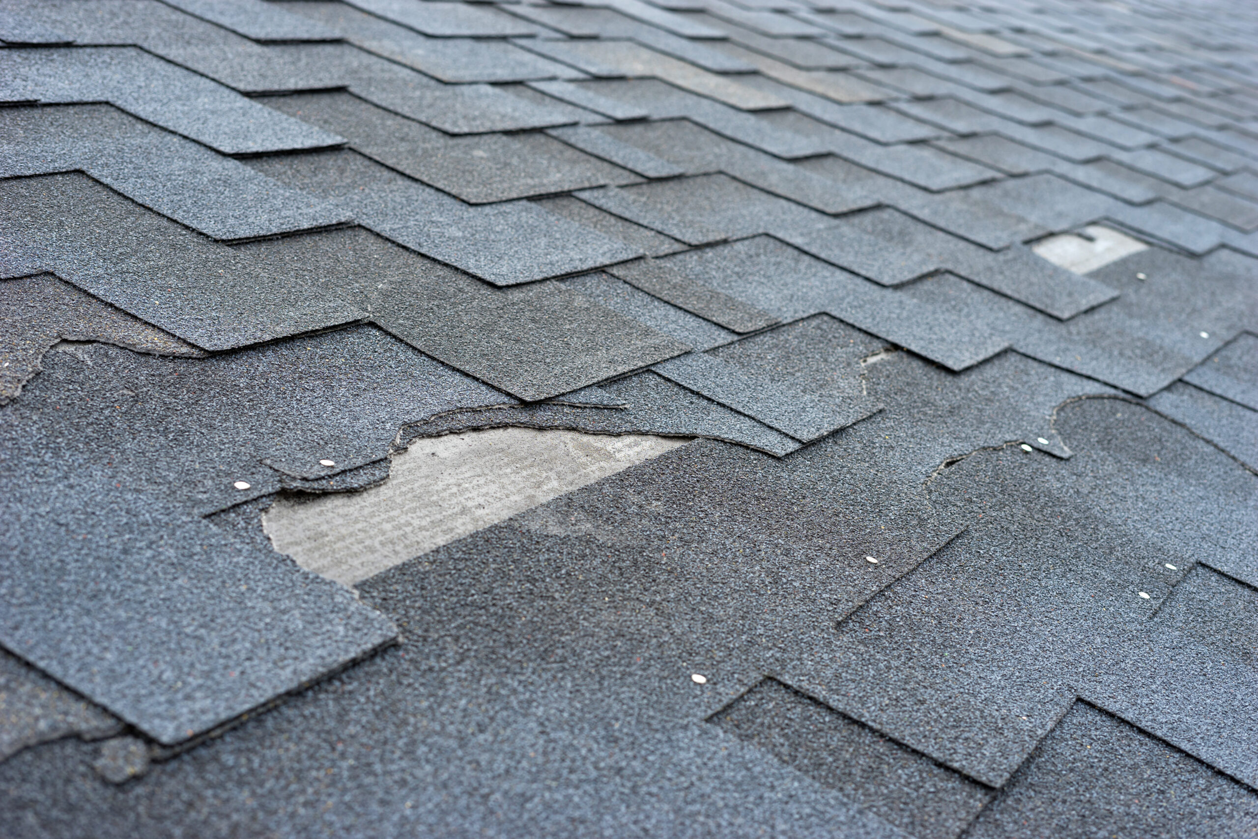 Damaged shingles after a fall storm