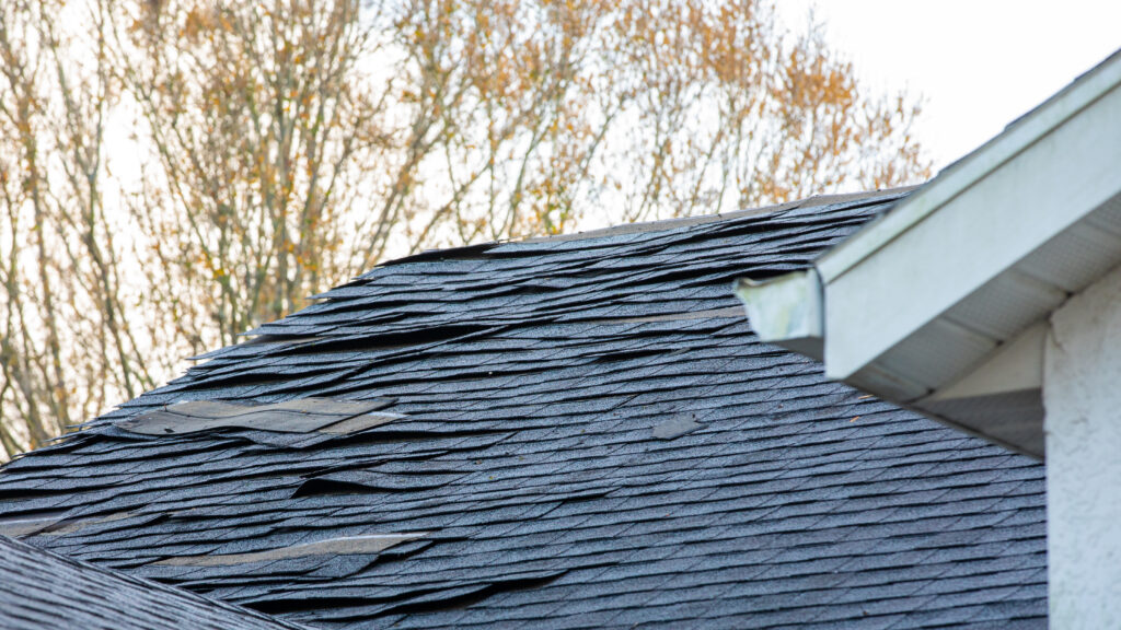 Common Home Issues - Damaged Roof