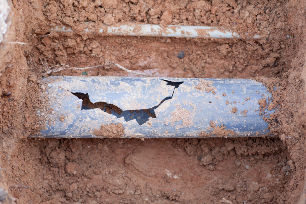 Burst Pipe Tree Root