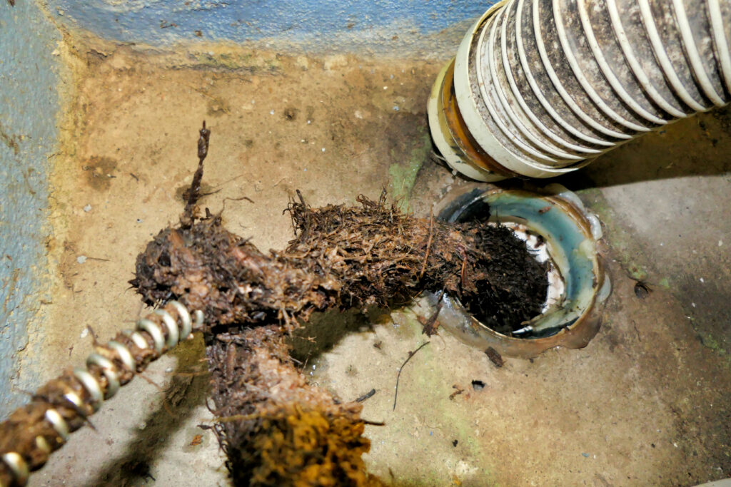 Clogged Sewer Drain