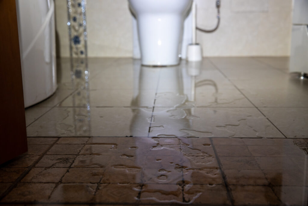 Plumbing emergency overflowing toilet