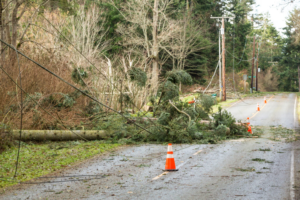 Downed Power Line
